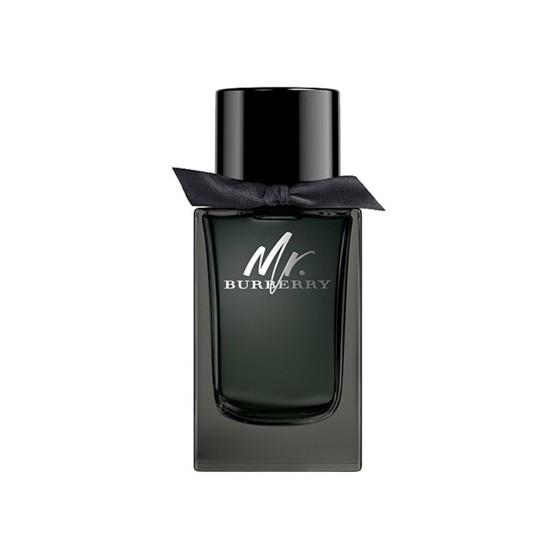 Burberry Mr. Burberry EDT 100ML